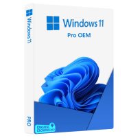 Windows 11 Pro (OEM)