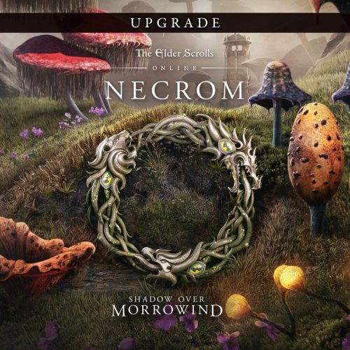 The Elder Scrolls Online: Necrom Upgrade (DLC) (EU)